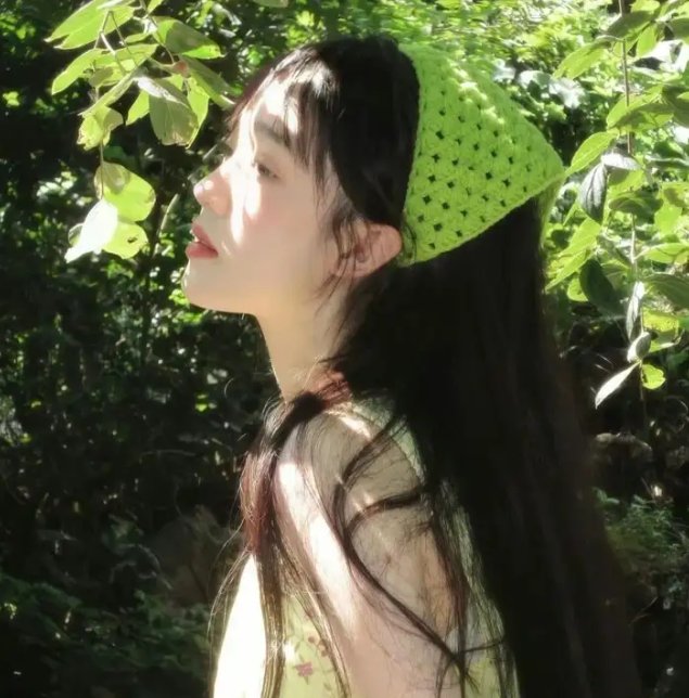 我的父亲是魏忠贤