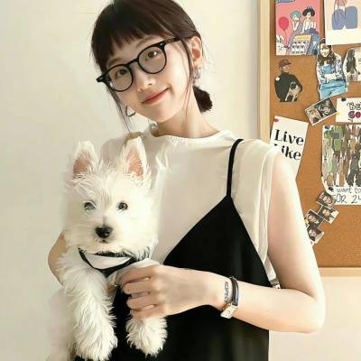 彩象岛的女孩儿